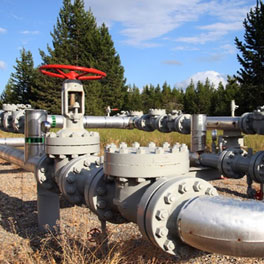 Valves : Gate, Globe, Check